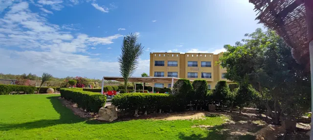 كرمه الوادى