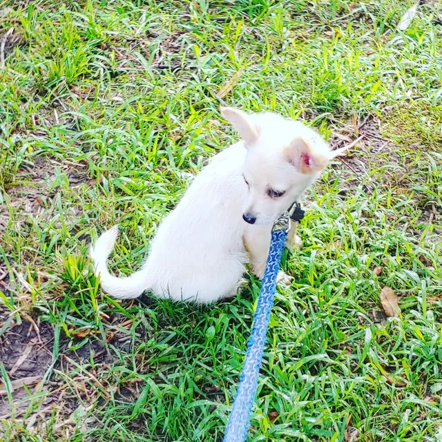 Open Air Meditation Sanctuary