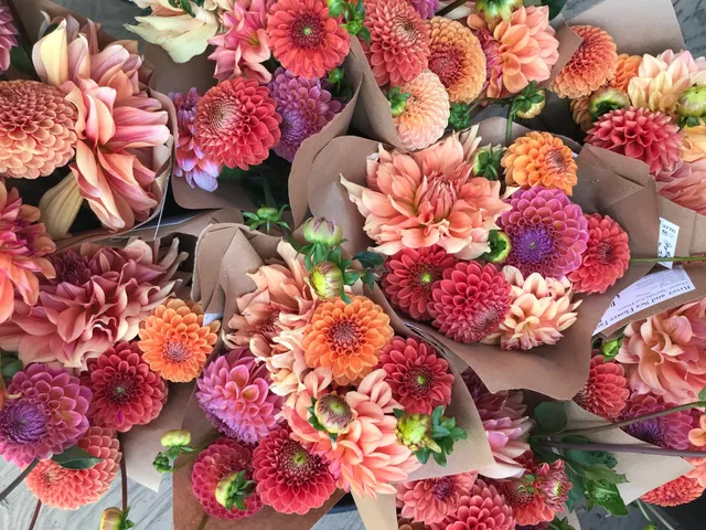 River and Sea Flowers