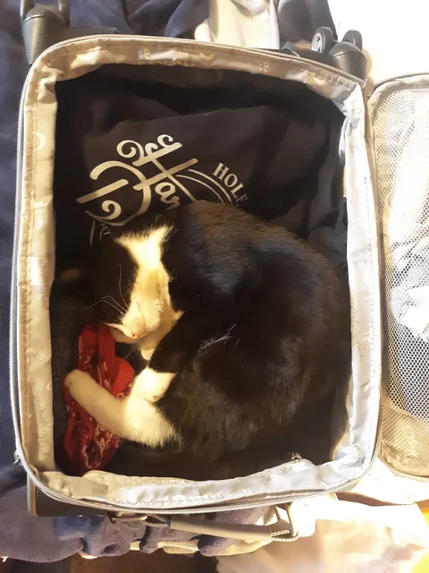 Big Rapids Farm & Garden