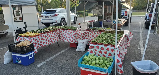 Happy Daze Red Worm Farm ,Billsgardening