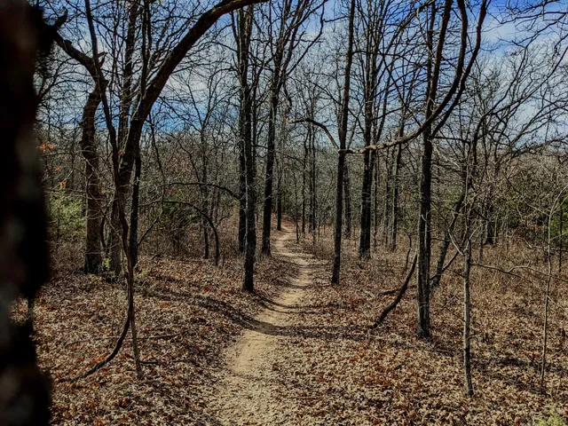 Clear Bay Trailhead