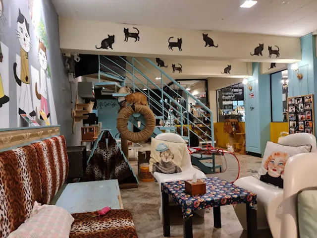 B Cat Café