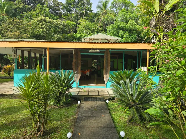 Ilan Ilan Tortuguero