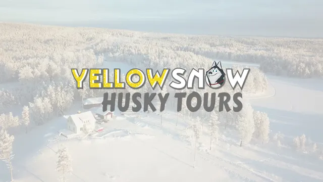 Yellow Snow Husky Tours