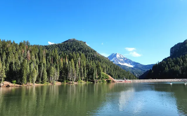 Tibble Fork