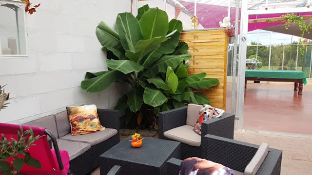 Cave-Bar-Brasserie-Restaurant-Paintball-Les Barriques Sur Pattes