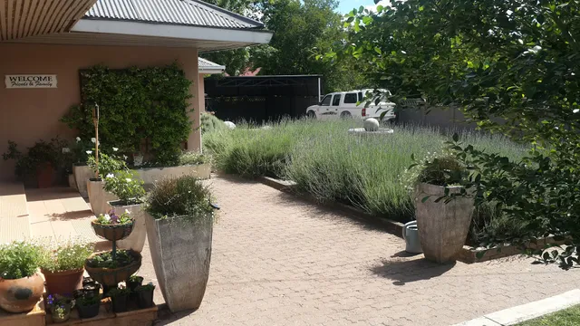 Esperanza Guest House