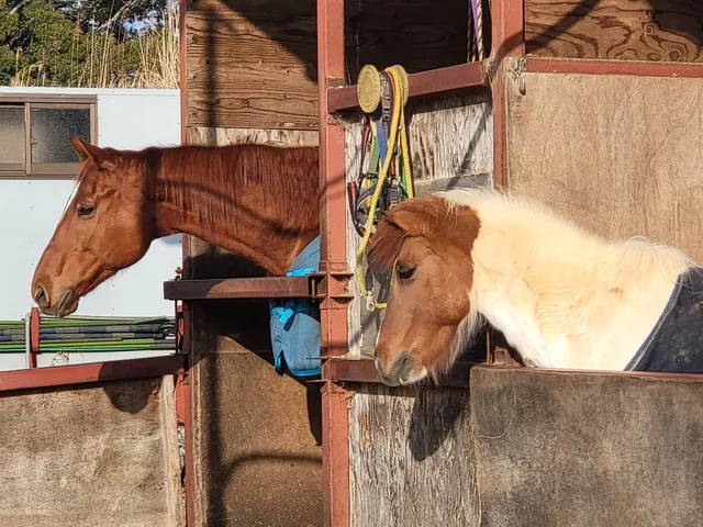 浜松ふれあい農園 ファーマーズ・ニッサ