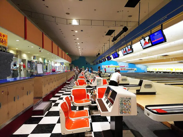 Apina Bowl Matsumoto Shiroyama