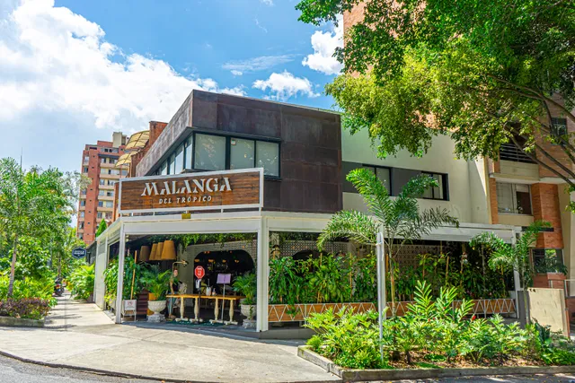 Malanga del trópico Laureles l Medellín