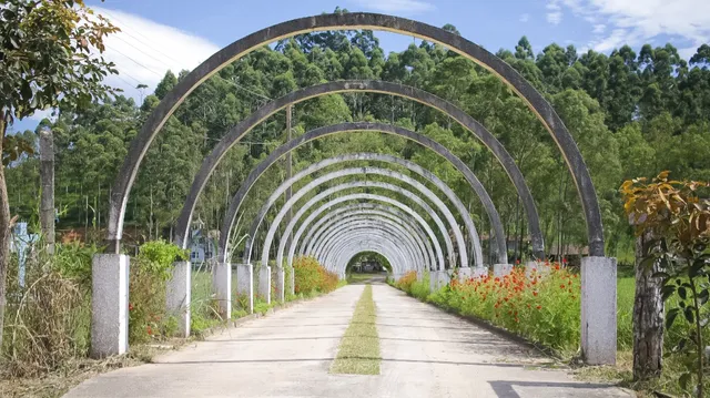 Fazenda Lago do Cisne (Eventos e Hospedagem)