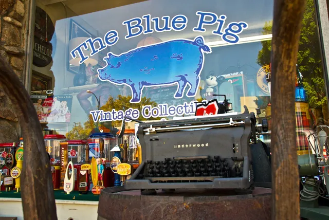 The Blue Pig