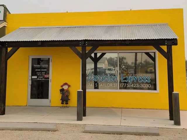 Dandelion Express Florist