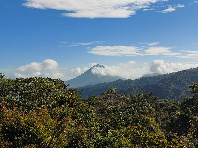 Children's Eternal Rainforest Main Office /Monteverde Conservation League