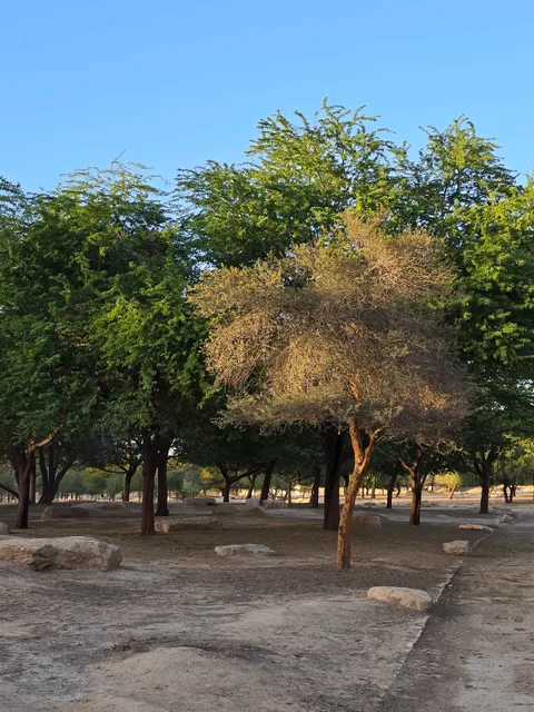 Wadi Hanifa Park