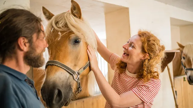 Der Ballhaushof/ Demeter Landwirtschaft/ Urlaub am Bauernhof/ Marktgärtnerei