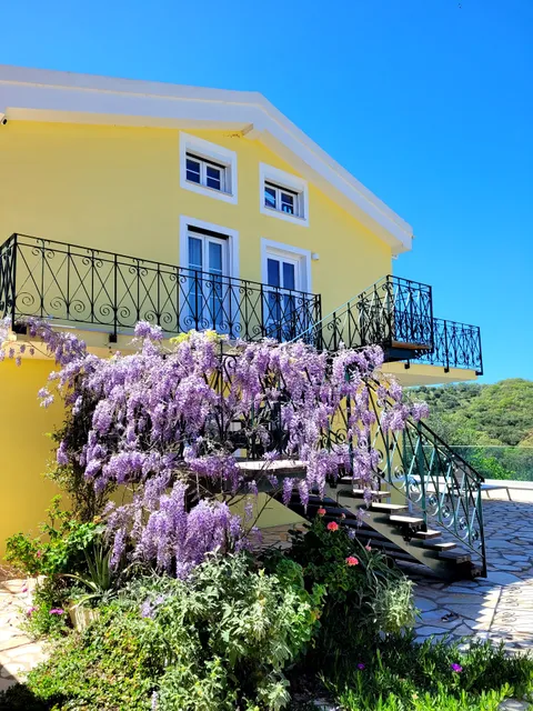 οίκος της ελιάς - Gelbes Haus Korfu