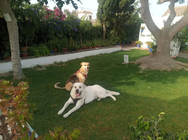 El cortijillo de tarifa