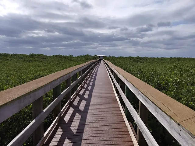 Ponce Inlet Preserve fishing dock