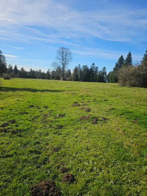 communal de la sagne