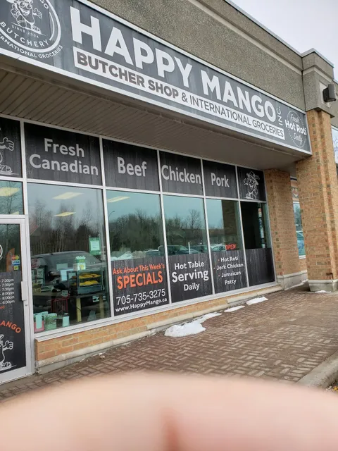 Happy Mango Inc