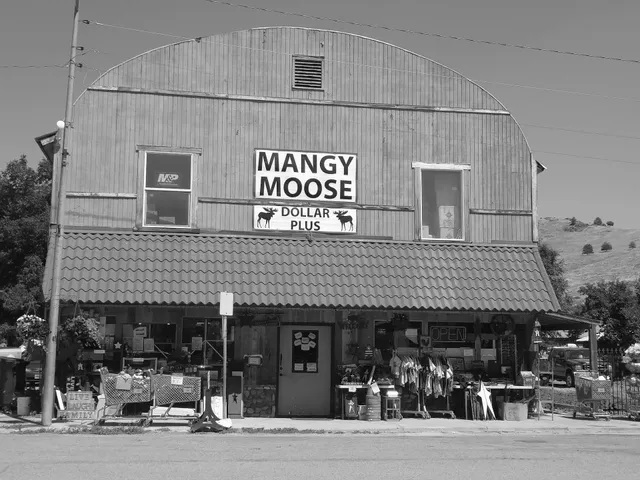 Mangy Moose of Plains MT