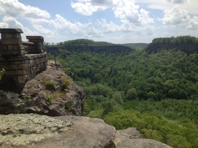 Red River Gorgeous Wilderness Treehouse & Cabin Rental