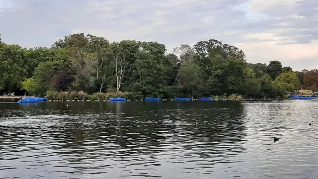 The Serpentine
