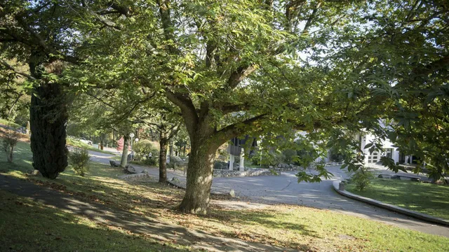 The City of Saint Peter