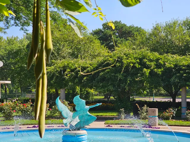 Andersen Enrichment Center