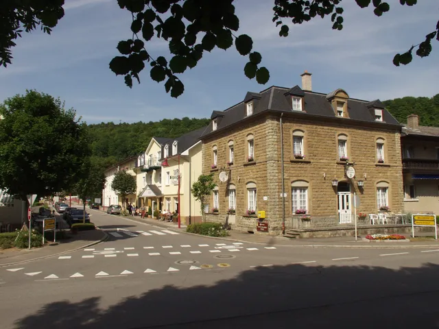 Logis Hotel Restaurant Dimmer