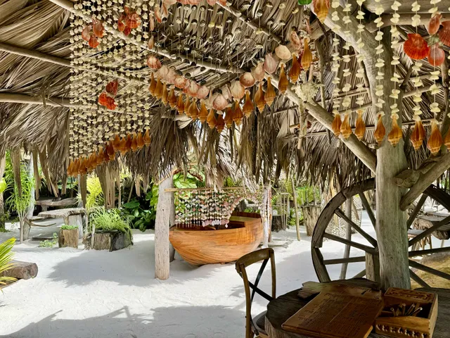 Natural Bar Grill & Drinks