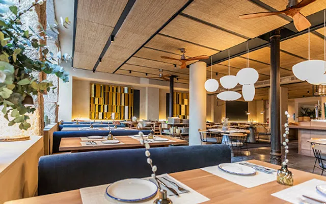 Saona TAGOMAGO Madrid