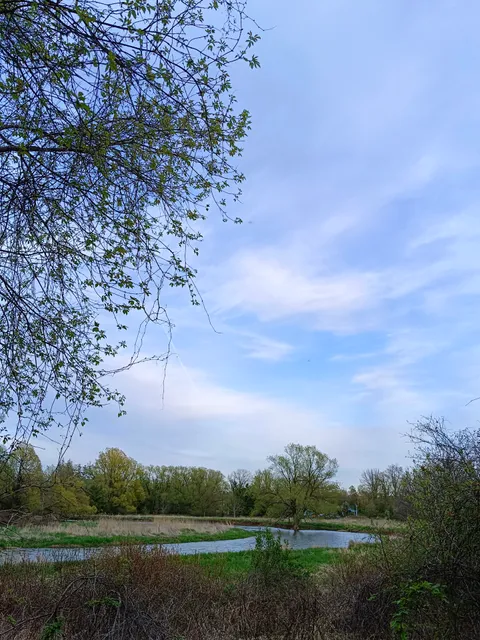 Credit Valley Conservation Authority