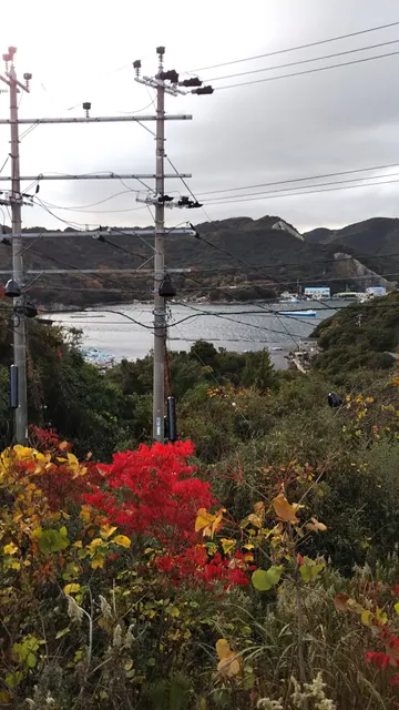 Mori Fishermen's Minshuku