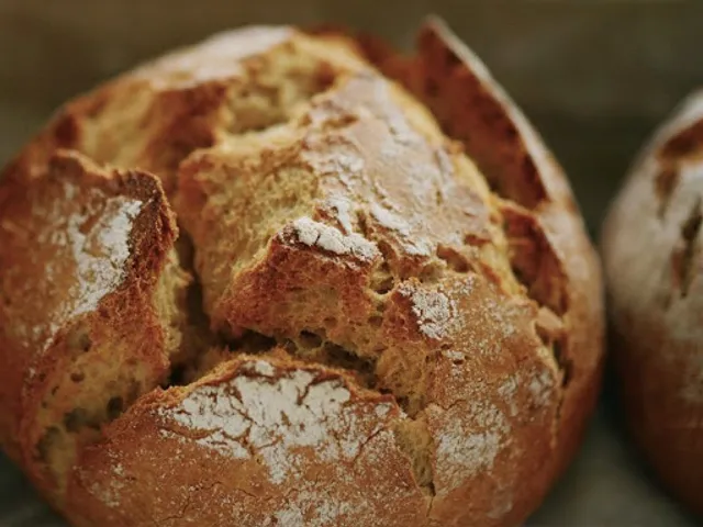 Forneria zamboni armando e c. Sas