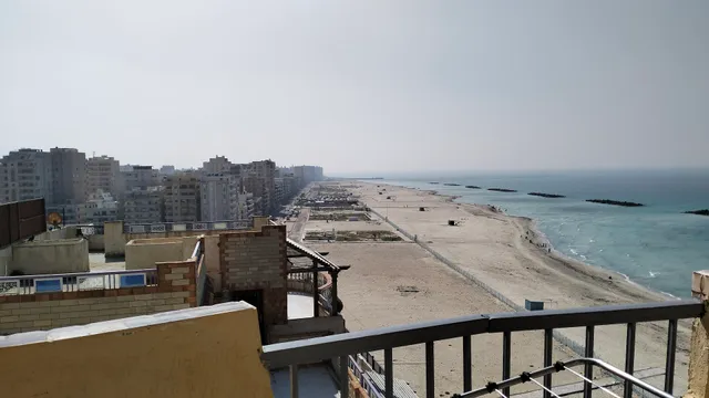 Flores casas de playa