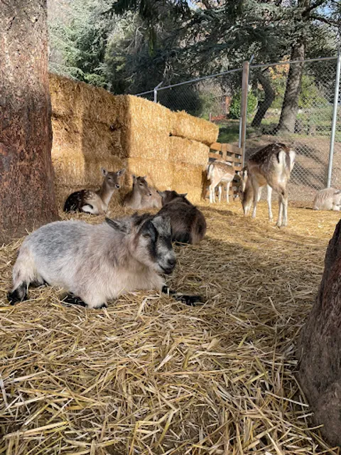 Oak Glen Apple Farm Ranch