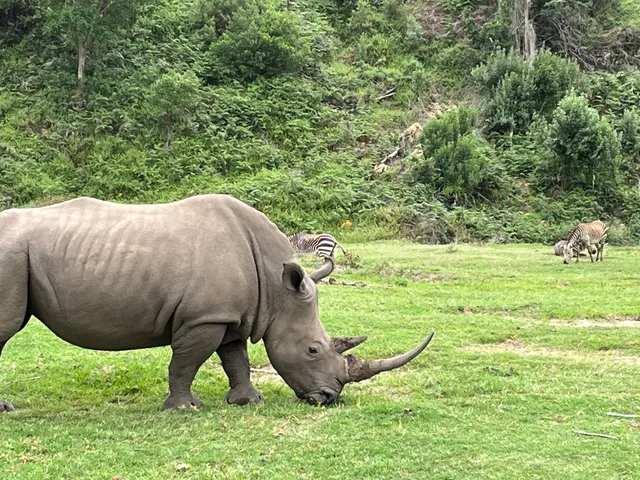 Wilderness Express Tours & Transfers