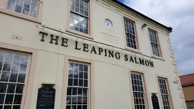 Leaping Salmon