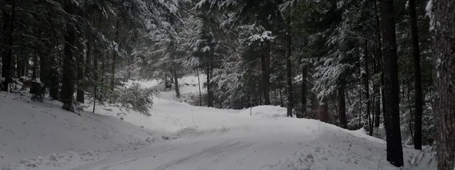 Stowe Cabins in the Woods