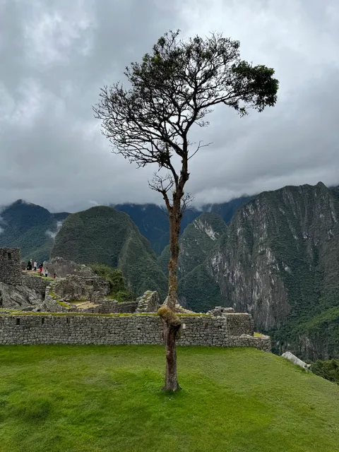 The Temple of the Condor