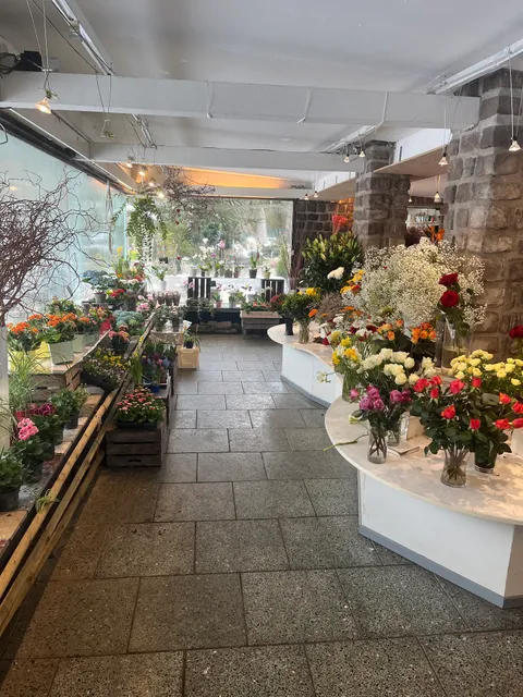 Albert Subtropia Gärtnerei