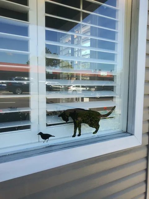 Furever Family Animal Hospital