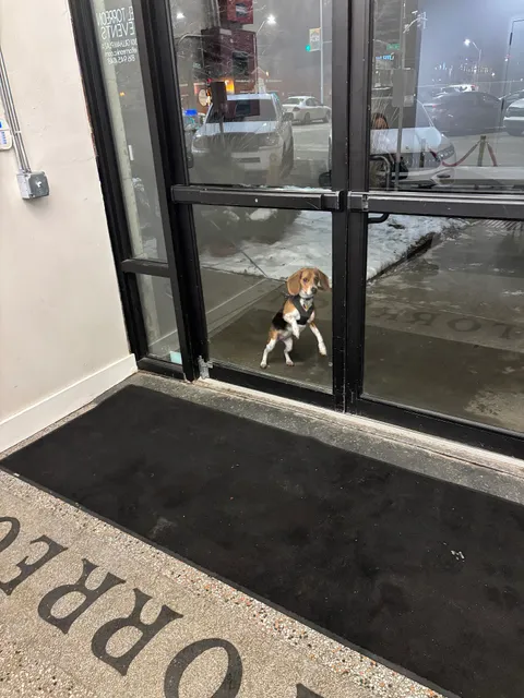 Cowtown Vintage & Art Exchange