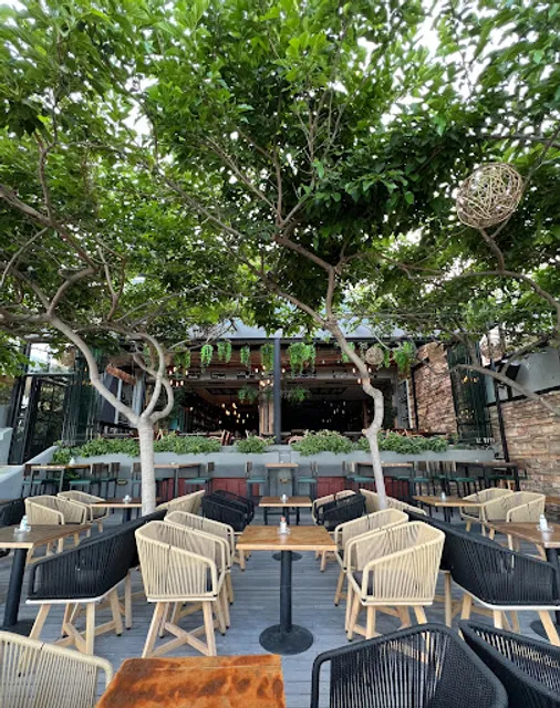 Conga Estiatorio Mexican - American Food & Drinks