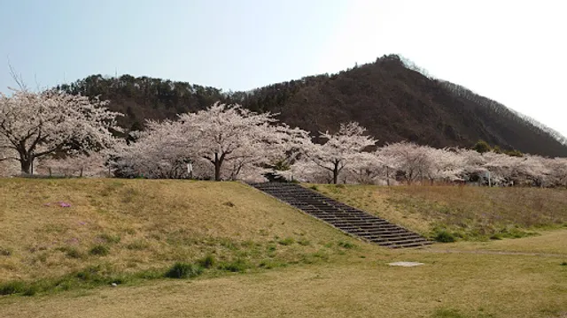 山形市馬見ケ崎プールジャバレストラン