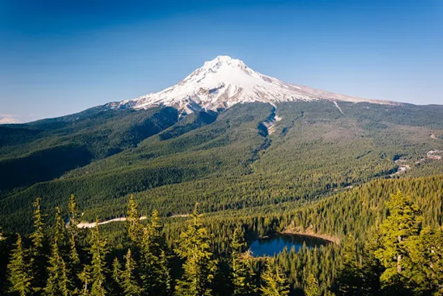 Mount Hood National Forest