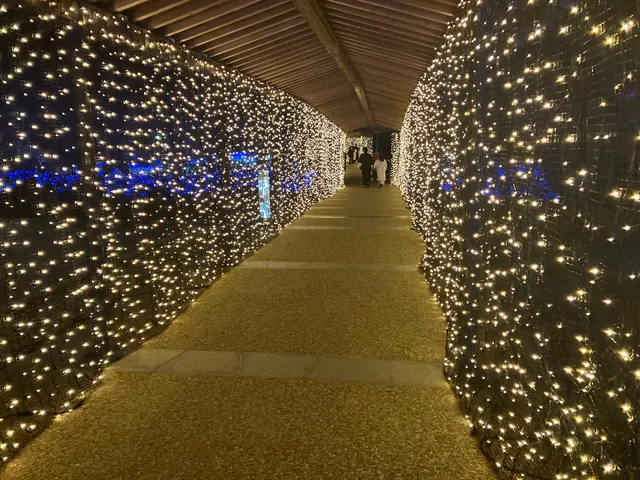 Nara Kasugano International Forum Iraka